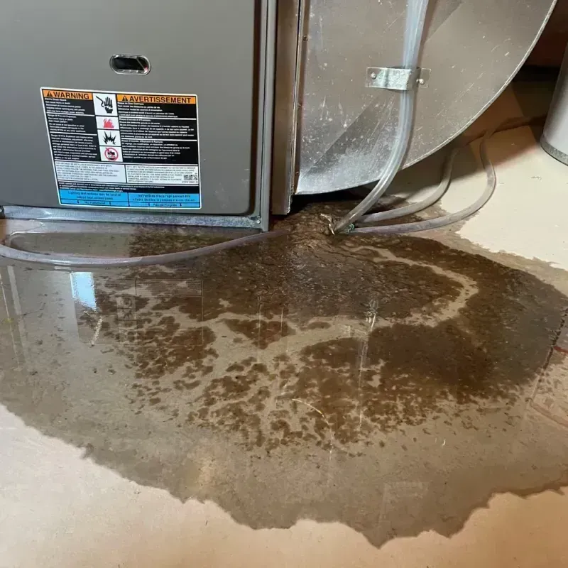 Appliance Leak Cleanup in Van Lear, KY